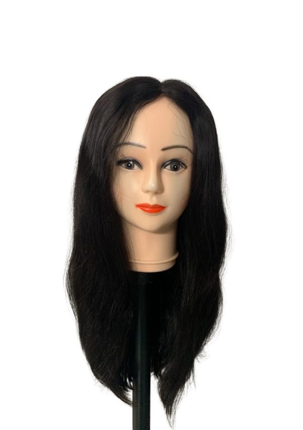 Monofilament Double Drawn Human hair wig