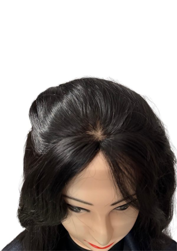 Silk Top Human Hair wig Full Lace - Image 3