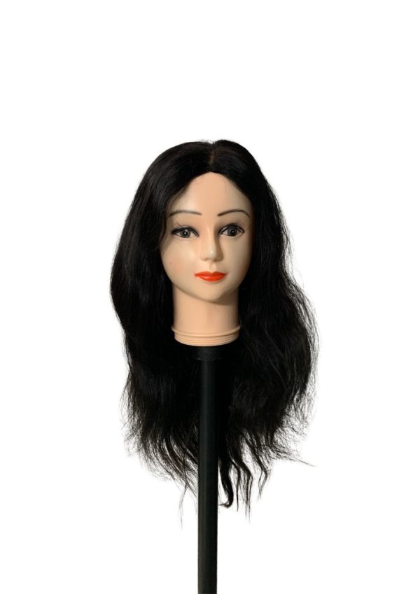 Closure Human Hair Wig