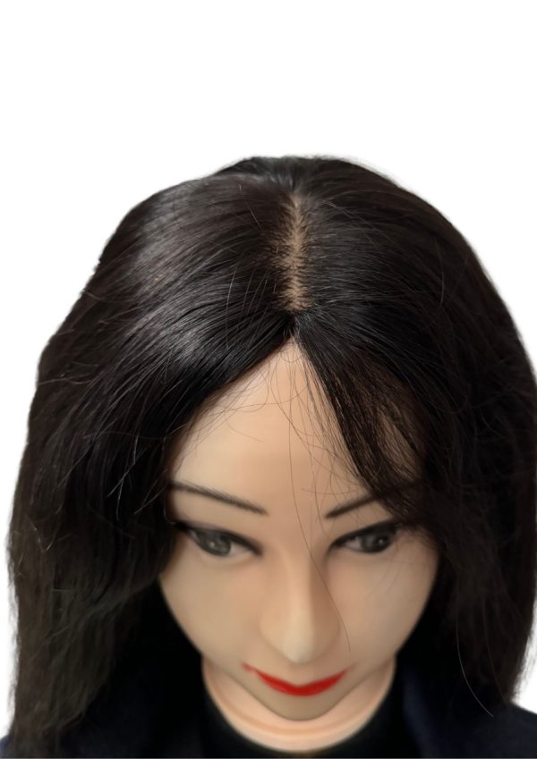 Silk Top Human Hair wig Full Lace - Image 2