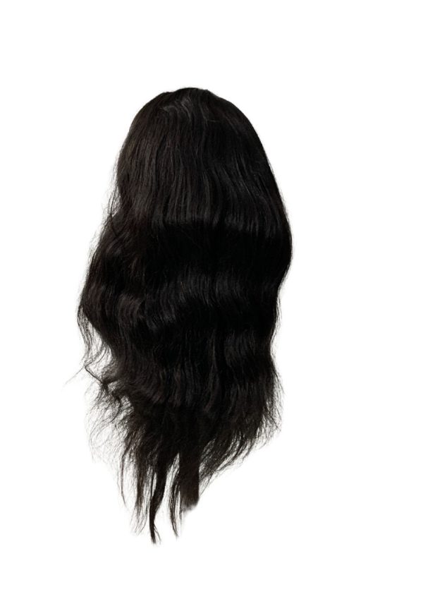 Closure Human Hair Wig - Image 3