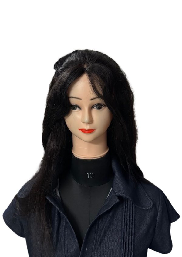 Silk Top Human Hair wig Full Lace