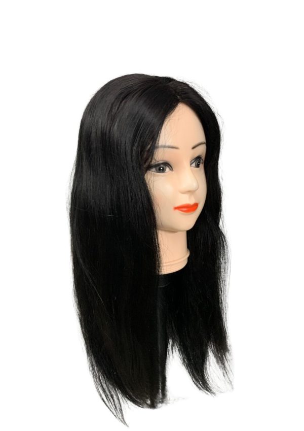 Monofilament Silk Top Double Drawn Hair wig - Image 5