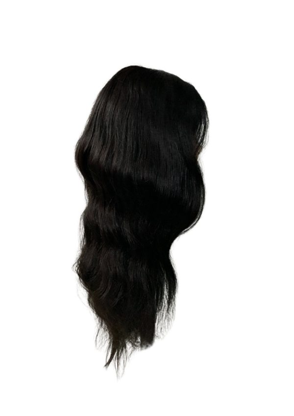 Closure Human Hair Wig - Image 4