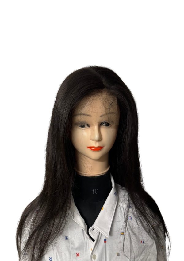 Silk Top Human Hair wig with Lace Frontal