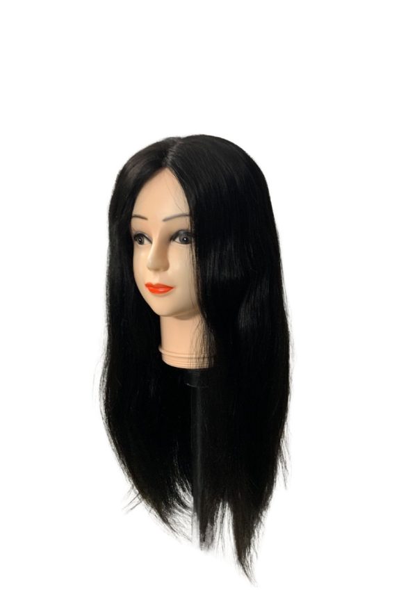 Monofilament Silk Top Double Drawn Hair wig - Image 6