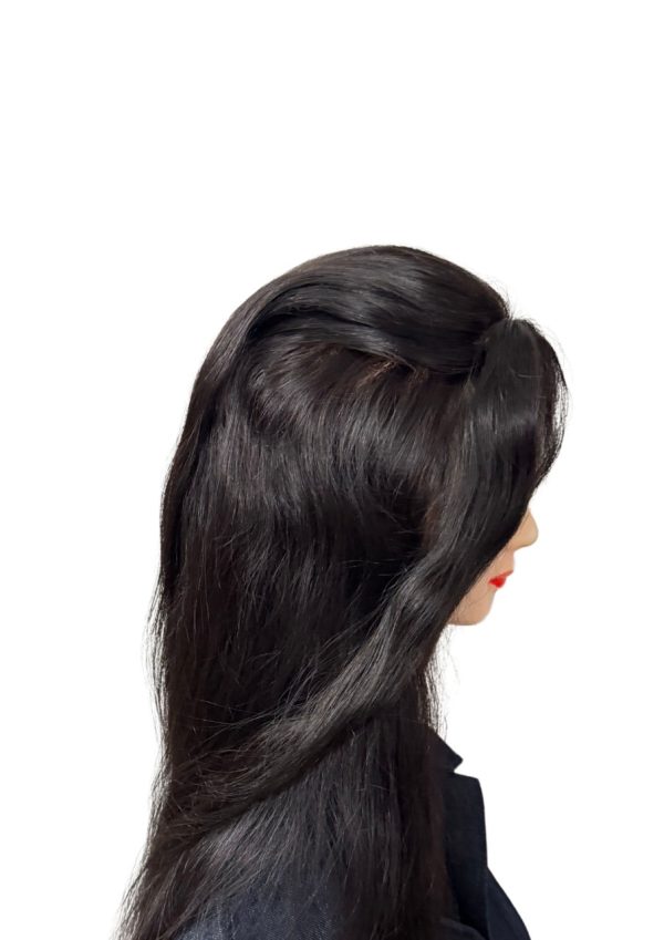 Silk Top Human Hair wig Full Lace - Image 6