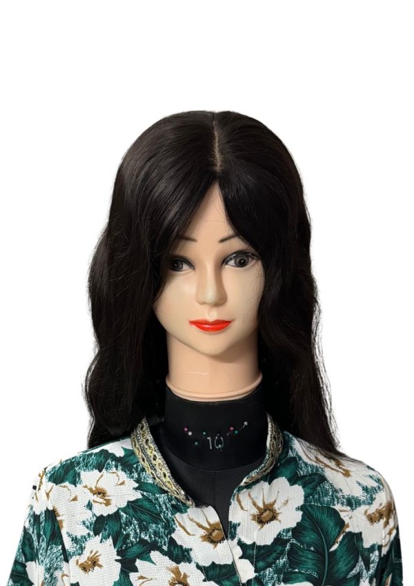 Silk Top Human Hair wig