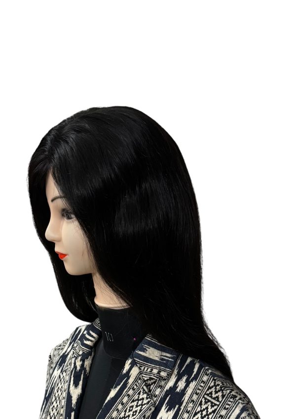 Silk Top Human Hair wig Virgin hair - Image 4