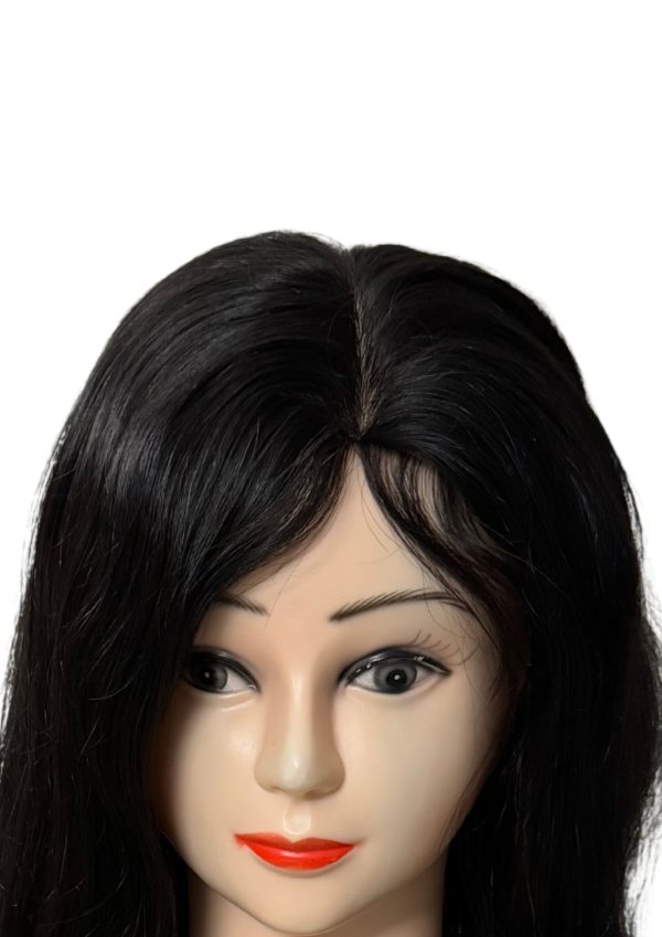 Silk Top Human Hair wig Virgin hair - Image 7